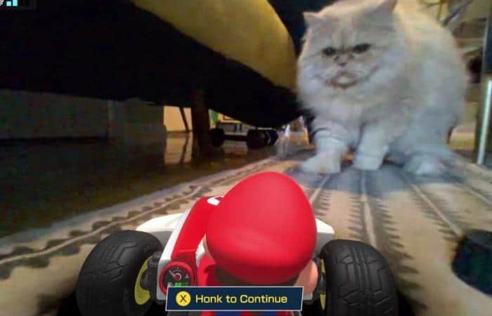 cat's don't like Mario
