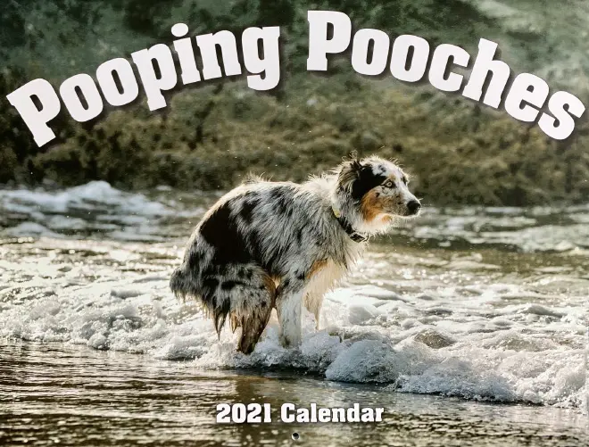 2021 Pooping Pooches Calendar