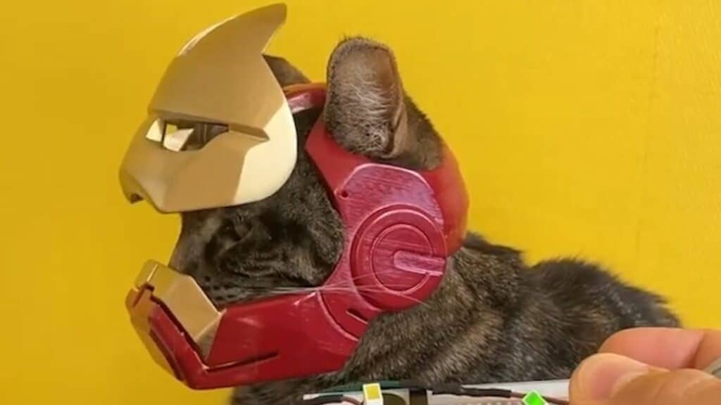 A Functional Iron Man Helmet For A Cat