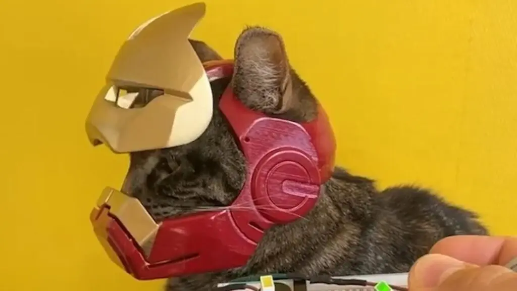 A Functional Iron Man Helmet For A Cat