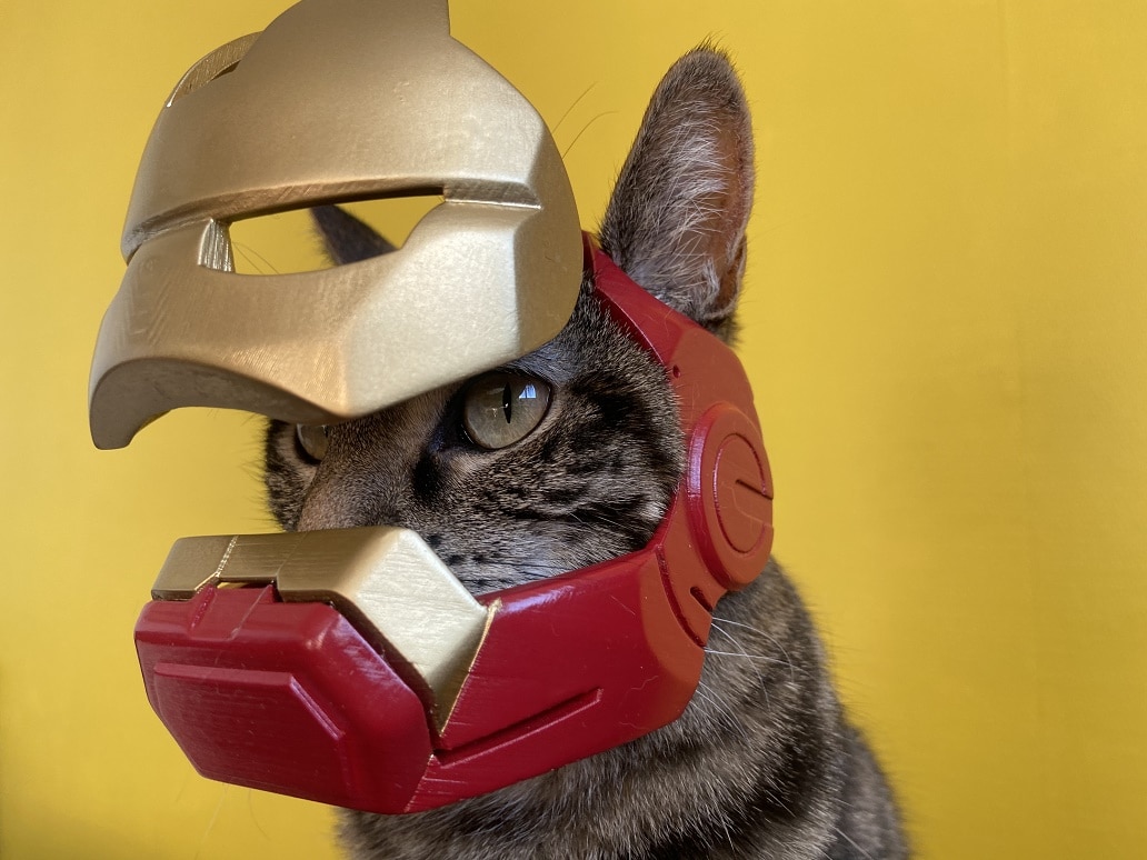 A Functional Iron Man Helmet For A Cat Top10animal