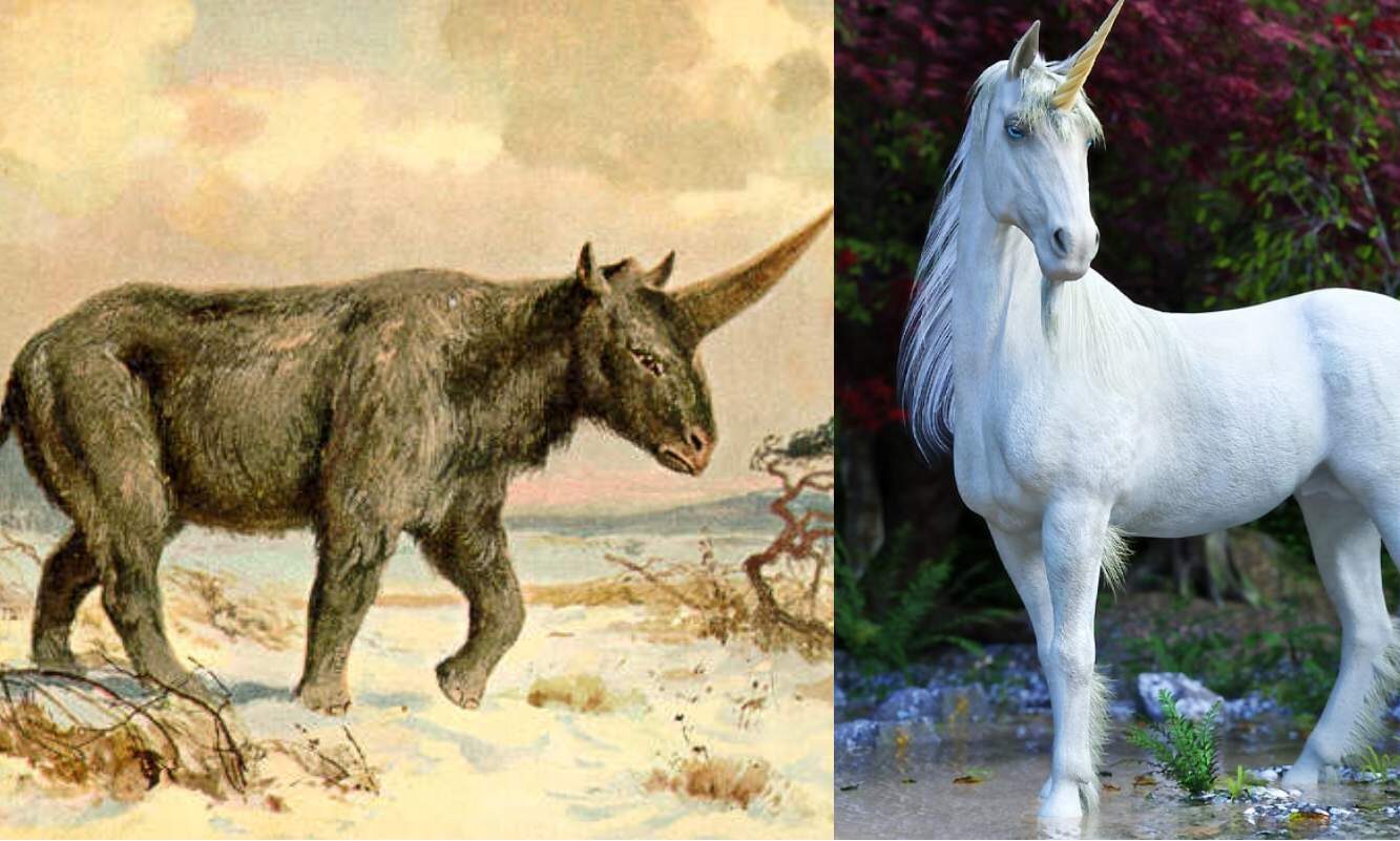 Unicorns Were Real, But Not Quite Beautiful As You Had Imagined