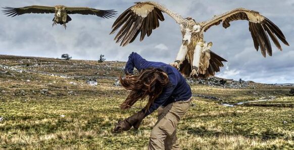 Most Dangerous Birds