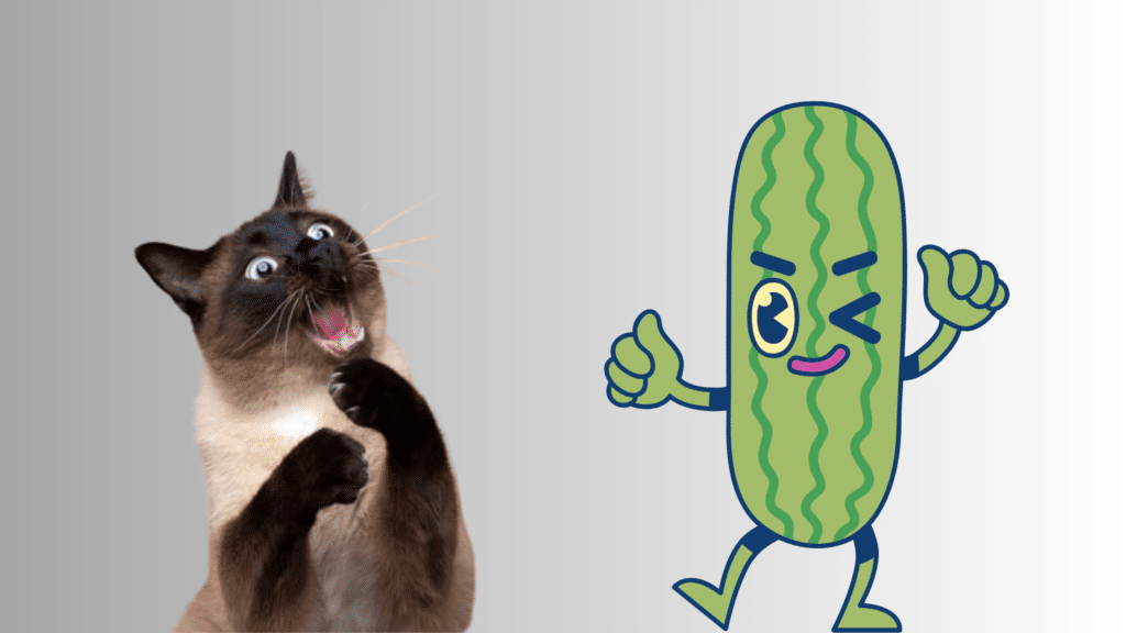 Why Do Cats Fear Cucumbers?