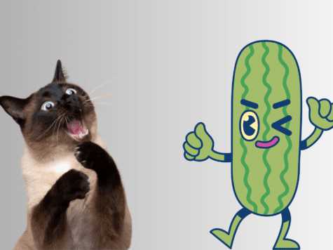 Why Do Cats Fear Cucumbers?