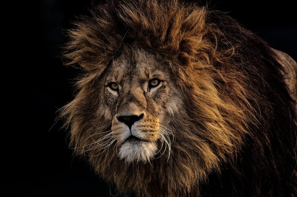 what animal represents bravery