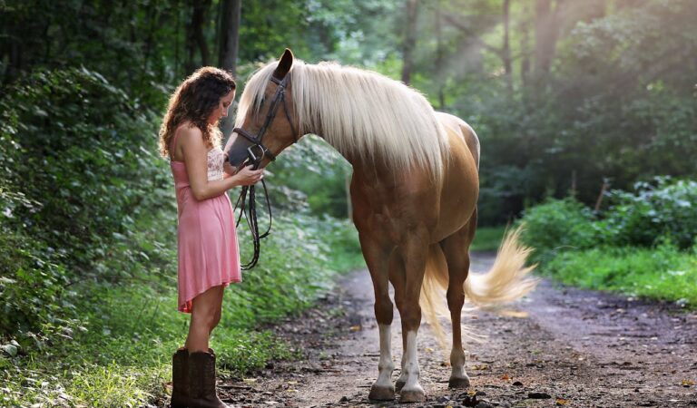 Which Animal Represents Loyalty? Which Animal Represents Loyalty?